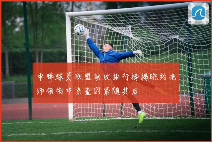 中锋球员联盟助攻排行榜揭晓约老师领衔申京奎因紧随其后