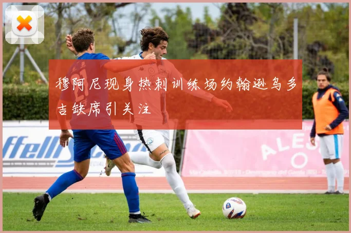 穆阿尼现身热刺训练场约翰逊乌多吉缺席引关注