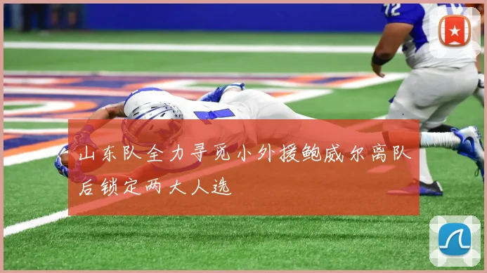 山东队全力寻觅小外援鲍威尔离队后锁定两大人选