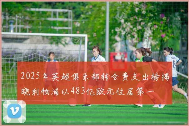 2025年英超俱乐部转会费支出榜揭晓利物浦以483亿欧元位居第一