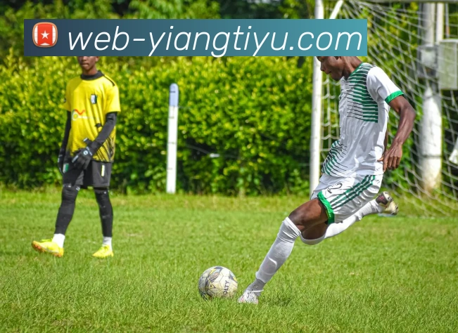 多媒体互动体验